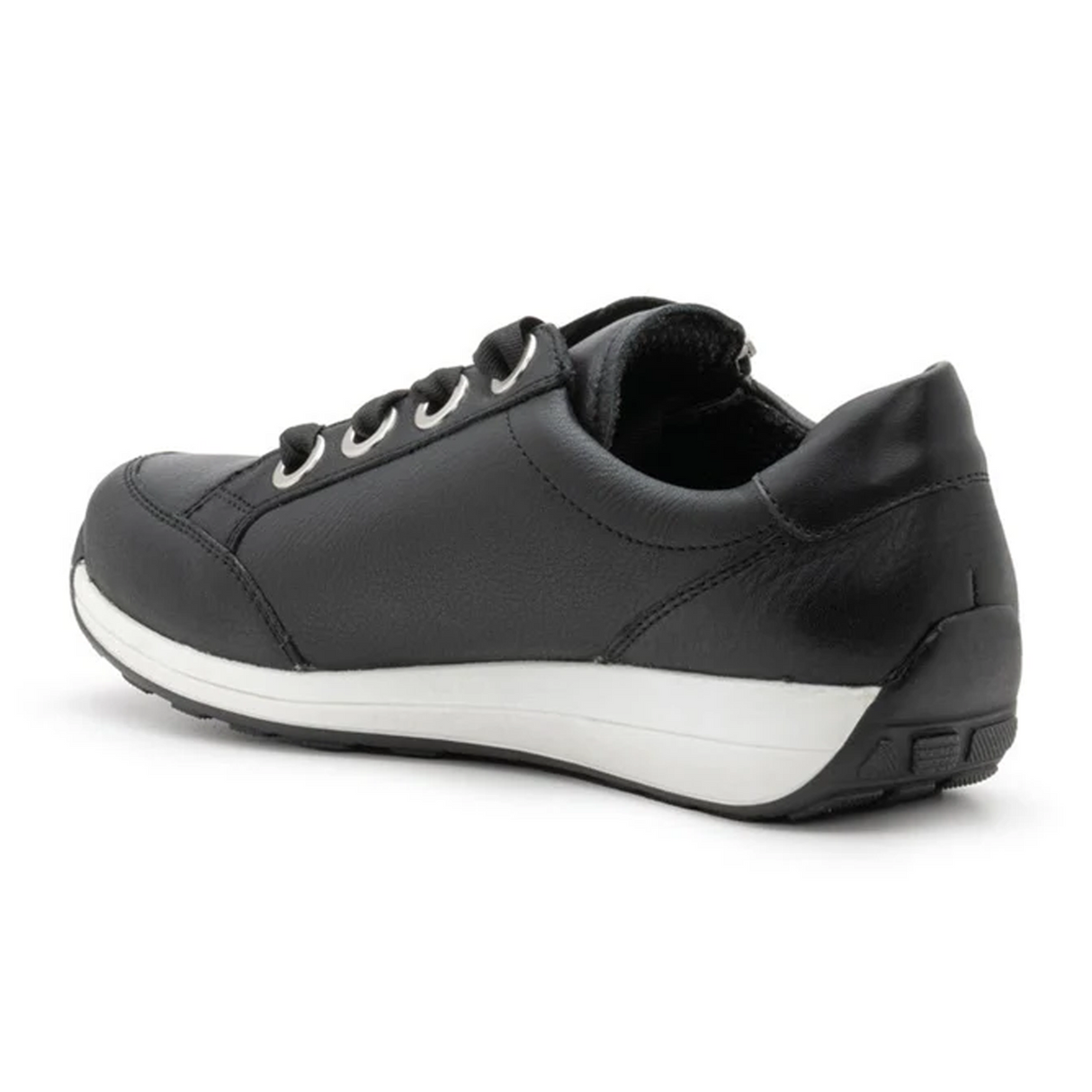 Ara Ollie Side Zip Lace Up Sneaker (Women) Athletic - Casual - Lace Up - The Heel Shoe Fitters