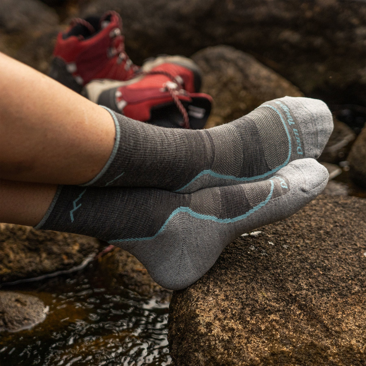 Darn Tough Light Hiker Lightweight Micro Crew with Cushion (Women) Accessories - Socks - Performance - The Heel Shoe Fitters