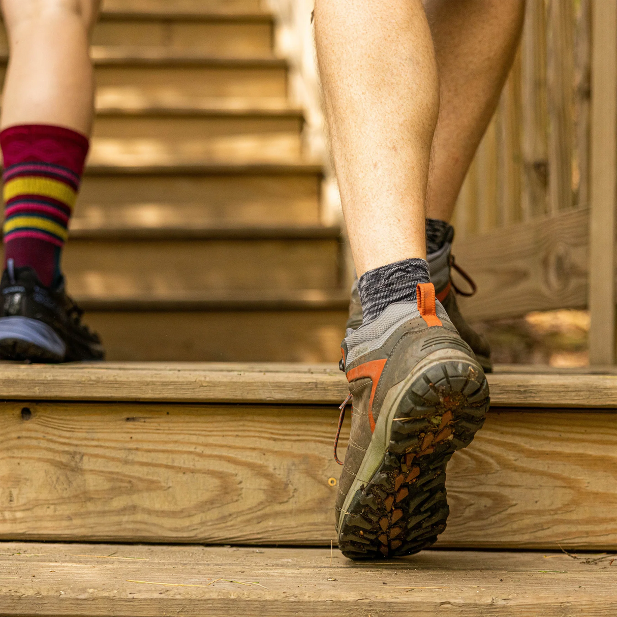 Darn Tough Light Hiker Lightweight Quarter Sock with Cushion (Men) Accessories - Socks - Performance - The Heel Shoe Fitters