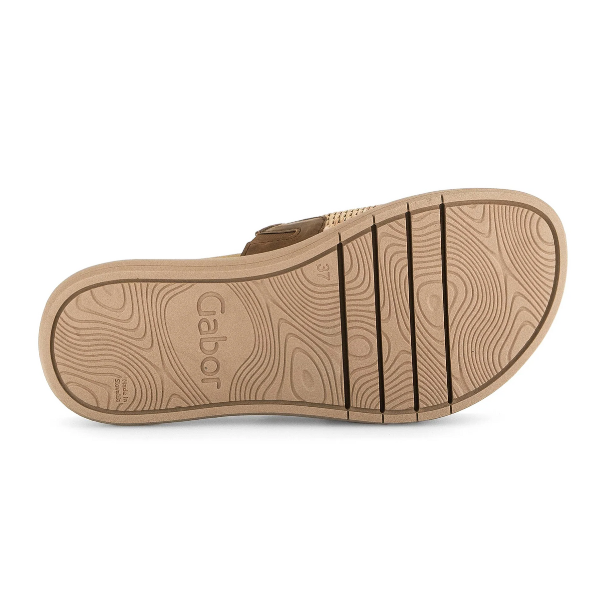 Gabor 754 Buckle Slide (Women) - Raffia Sandal - Slide - The Heel Shoe Fitters
