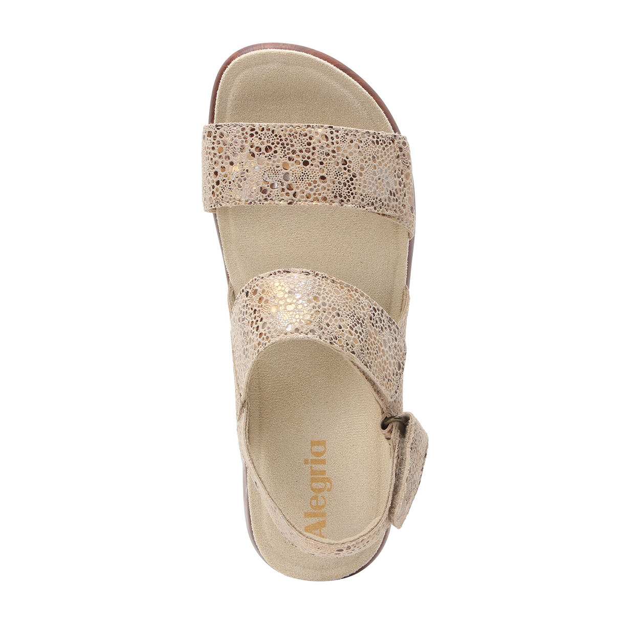 Alegria Bailee Backstrap Sandal (Women) Sandal - Backstrap - The Heel Shoe Fitters