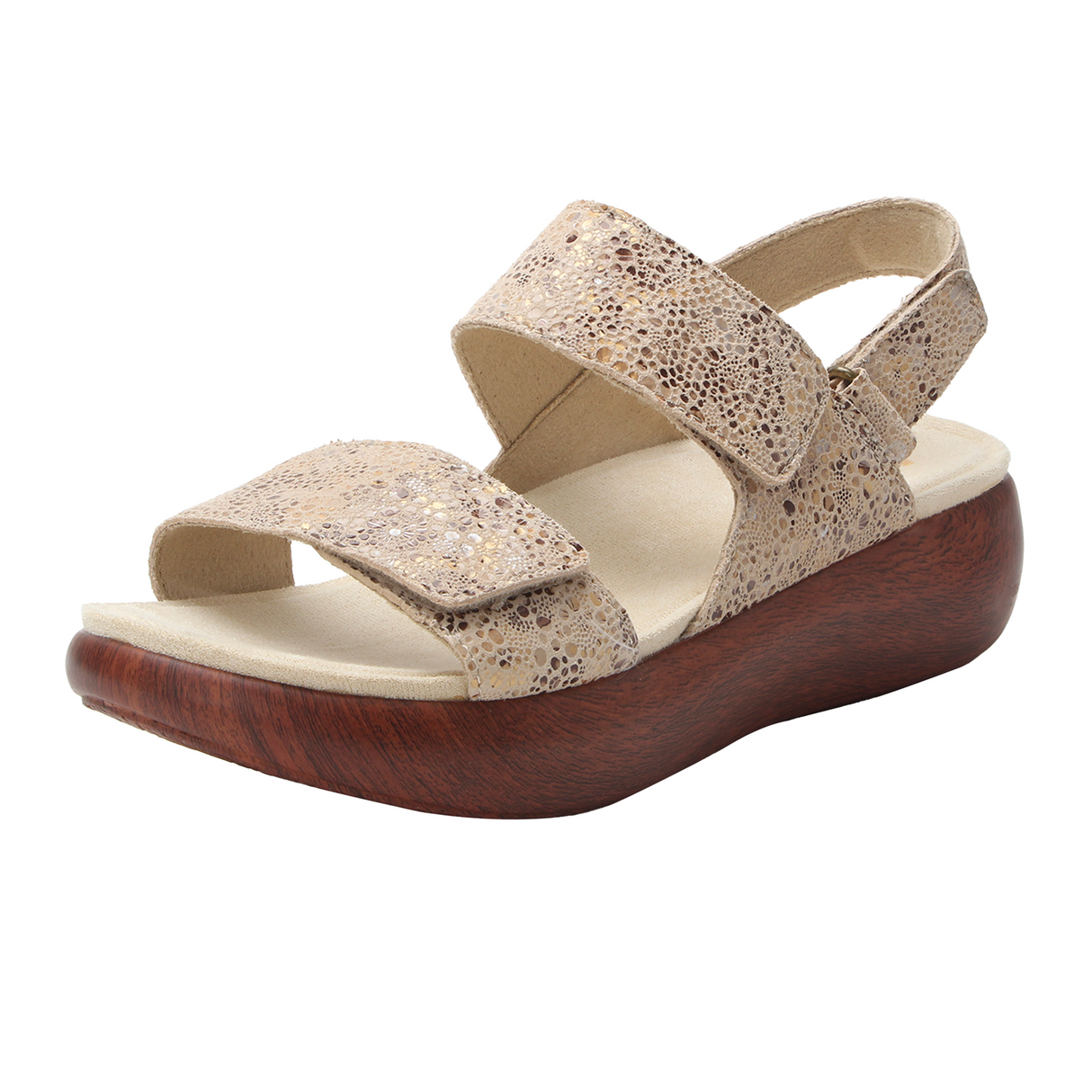 Alegria Bailee Backstrap Sandal (Women) Sandal - Backstrap - The Heel Shoe Fitters