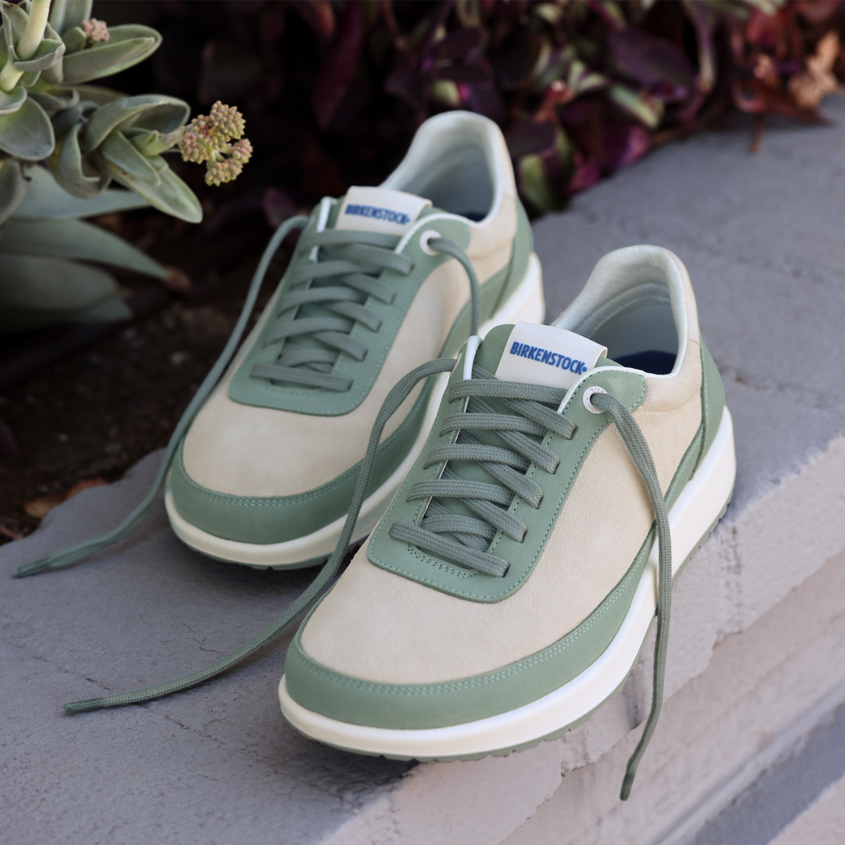 Birkenstock Honnef City Narrow Lace Up (Women) - Antique White/Pure Sage