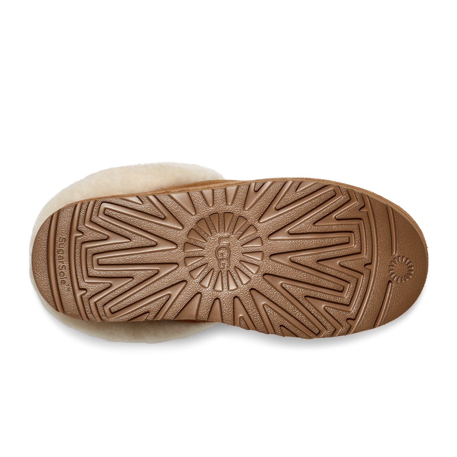 UGG® Tazzlita Slipper (Women) - Chestnut – The Heel Shoe Fitters