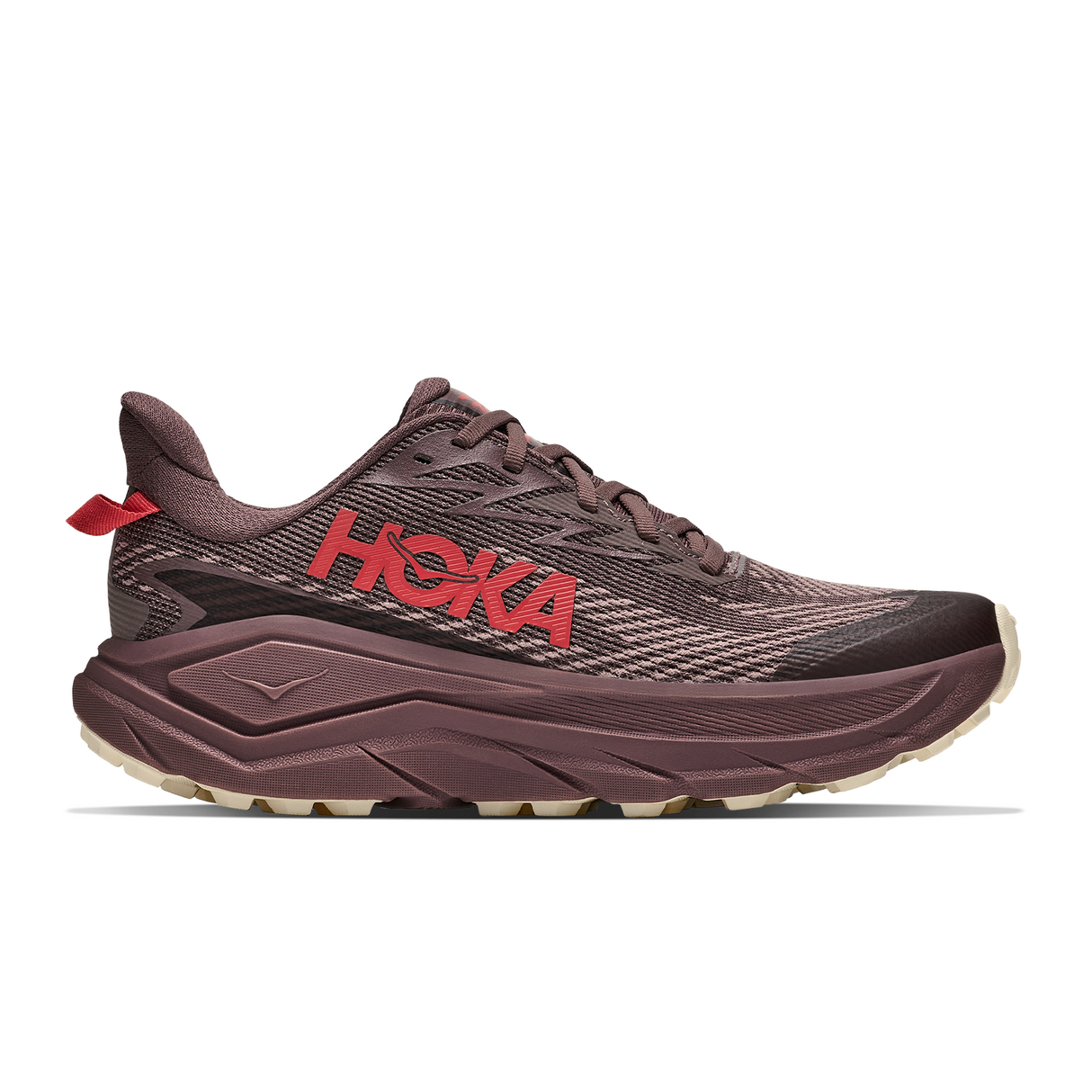 Hoka Challenger 8 GTX Trail Running Shoe (Women) - Smokey Quartz/Alabaster