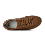 UGG® South Bay Sneaker Low (Men) - Dark Chestnut
