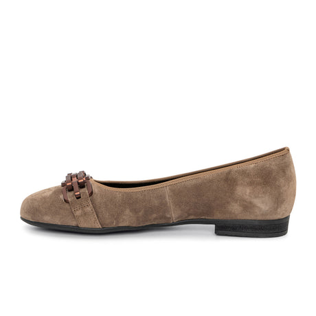 Ara Scout Chain Flat (Women) - Sesame Suede Dress-Casual - Flat - The Heel Shoe Fitters