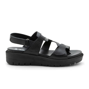Ara Bayview Wedge Sandal (Women) Sandal - Heel/Wedge - The Heel Shoe Fitters