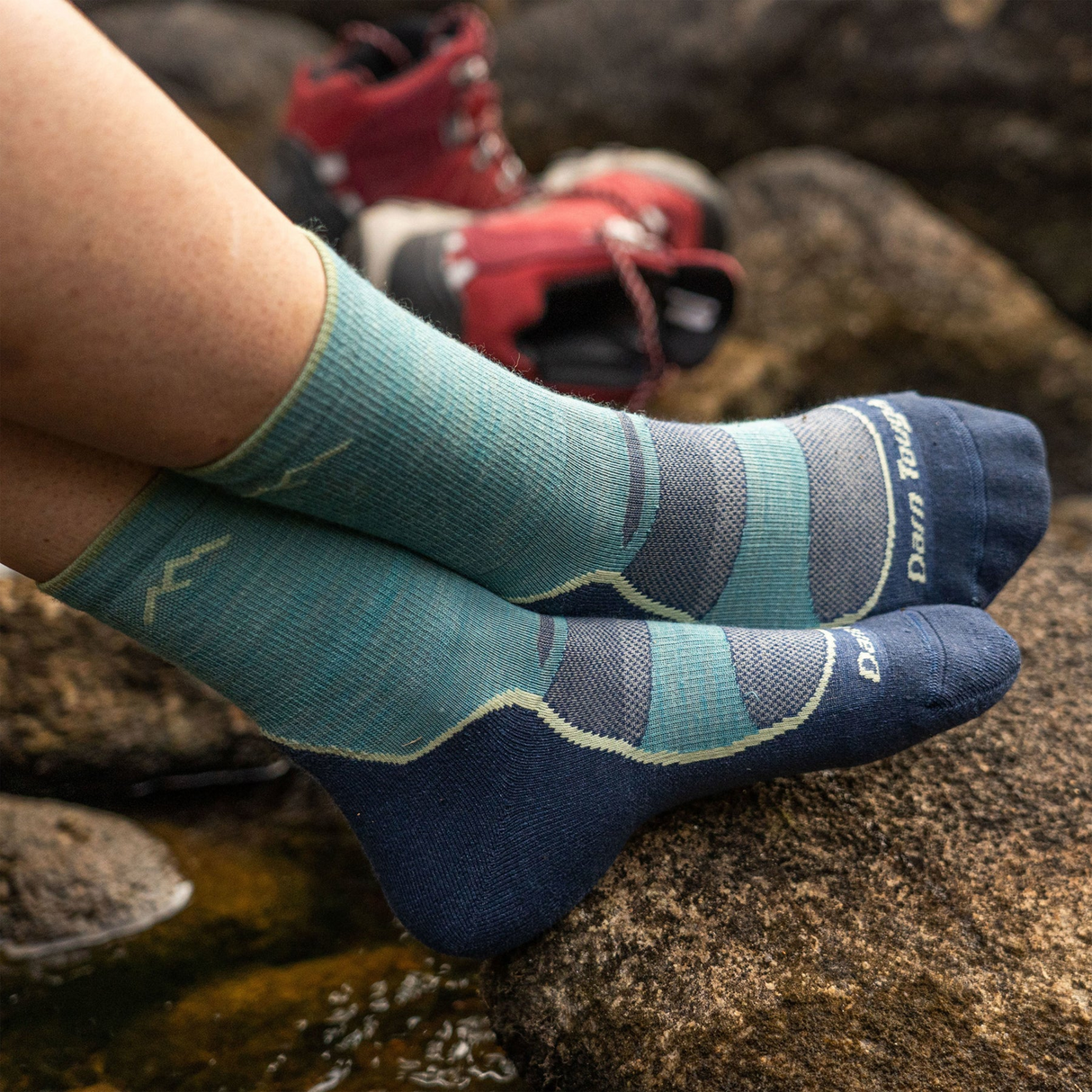 Darn Tough Light Hiker Lightweight Micro Crew with Cushion (Women) Accessories - Socks - Performance - The Heel Shoe Fitters