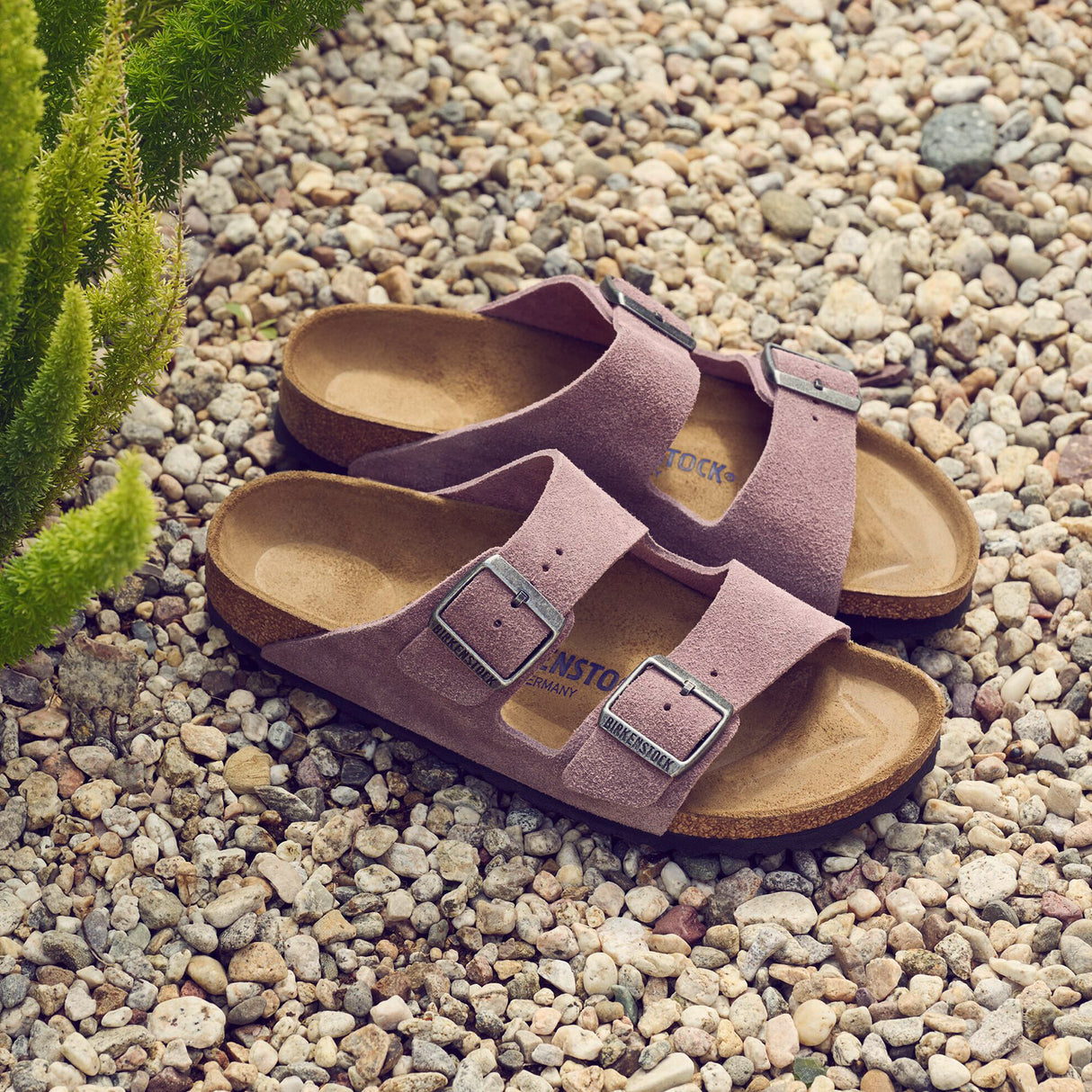 Birkenstock Arizona Soft Footbed Narrow Slide Sandal (Women) - Faded Purple Suede Sandal - Slide - The Heel Shoe Fitters