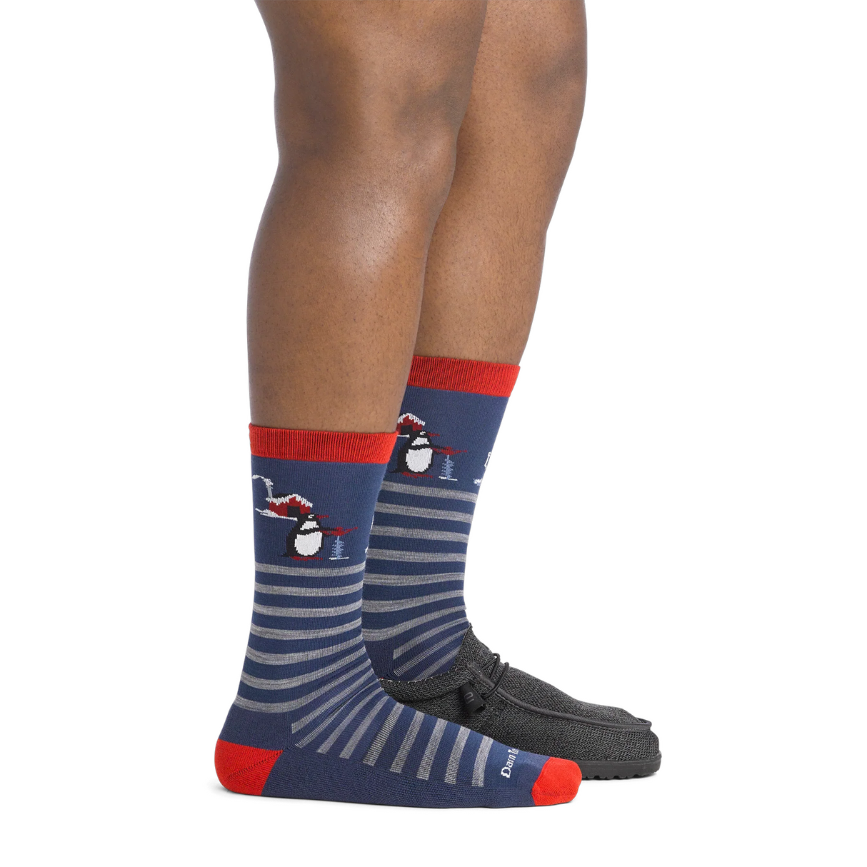 Darn Tough Wild Life Lightweight Cushion Crew Sock (Men) - Polar Bear Life Accessories - Socks - Lifestyle - The Heel Shoe Fitters