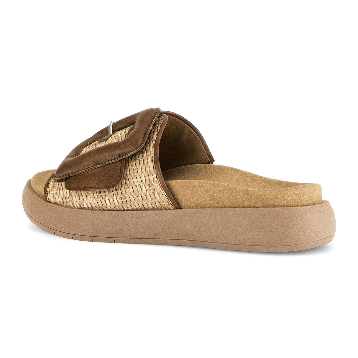 Gabor 754 Buckle Slide (Women) - Raffia Sandal - Slide - The Heel Shoe Fitters