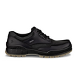 ECCO Track 25 Low GTX Hiking Shoe (Men) - Black/Black Hiking - Low - The Heel Shoe Fitters