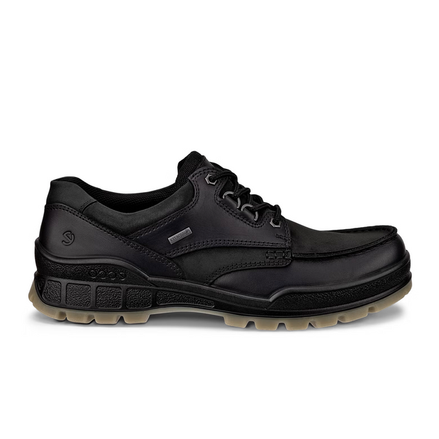 ECCO Track 25 Low GTX Hiking Shoe (Men) - Black/Black Hiking - Low - The Heel Shoe Fitters