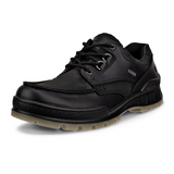 ECCO Track 25 Low GTX Hiking Shoe (Men) - Black/Black Hiking - Low - The Heel Shoe Fitters