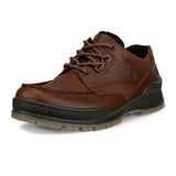 ECCO Track 25 Low GTX Hiking Shoe (Men) - Bison/Bison Hiking - Low - The Heel Shoe Fitters