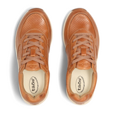 Taos Delta (Women) - Hazelnut