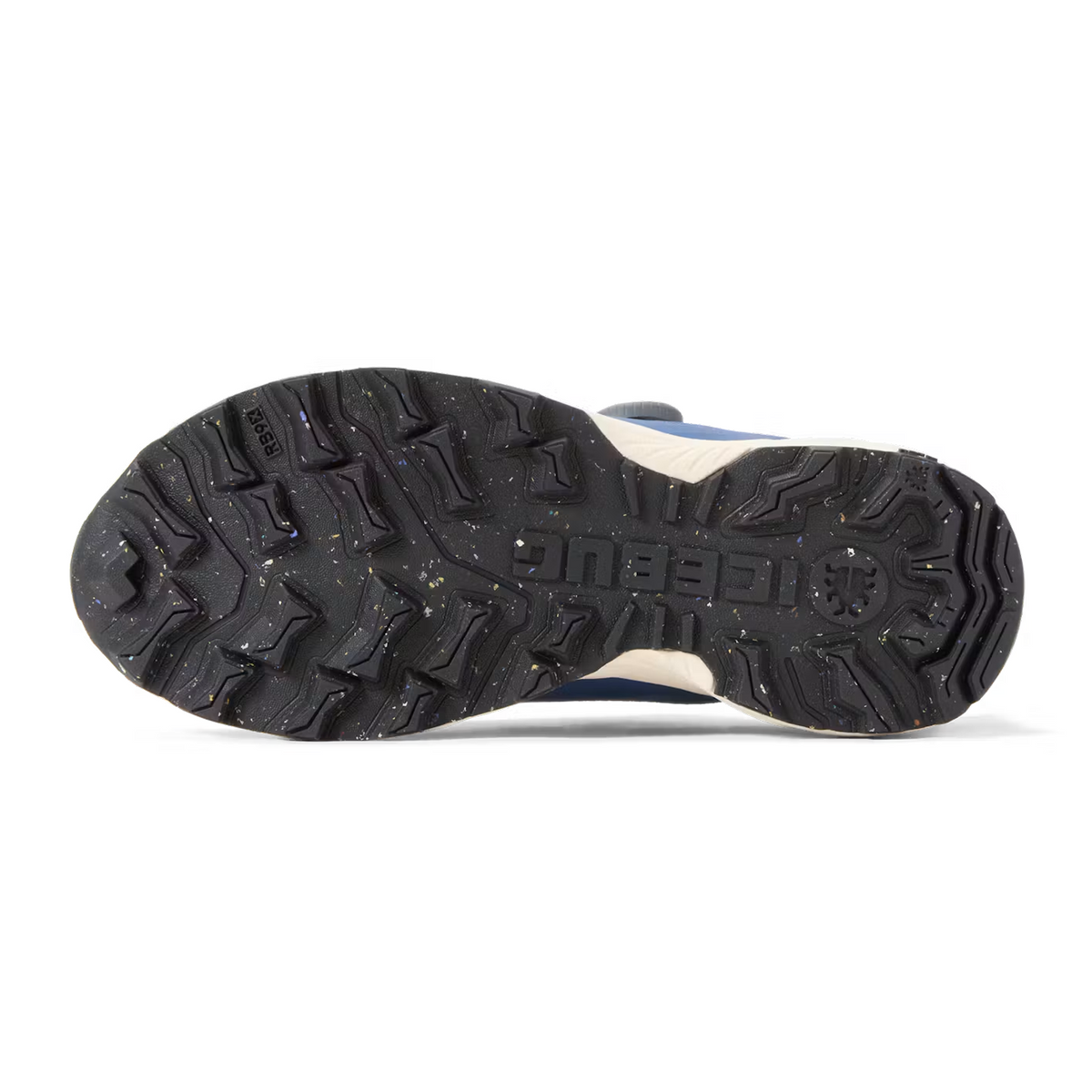 Icebug Rover 2 RB9X GTX (Men) - Navy