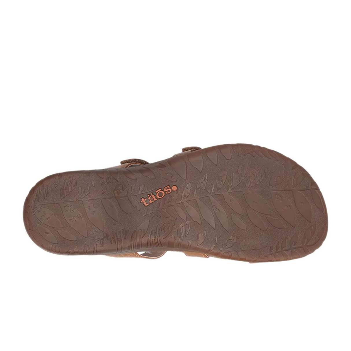 Taos Gemma Slide Sandal (Women) - Hazelnut  - The Heel Shoe Fitters