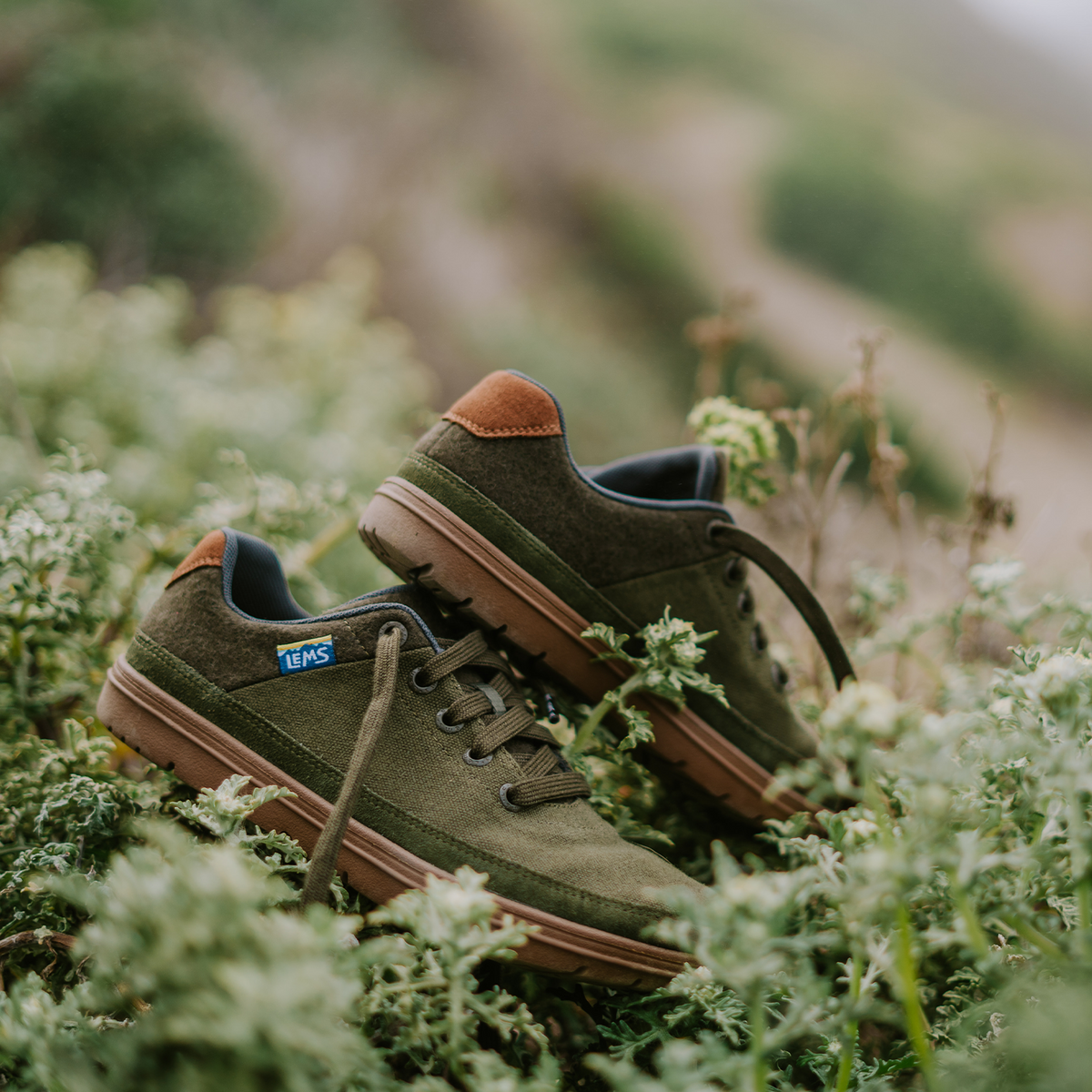 Lems Chillum Trail Shoe (Unisex) - Spruce Athletic - Running - Trail - The Heel Shoe Fitters