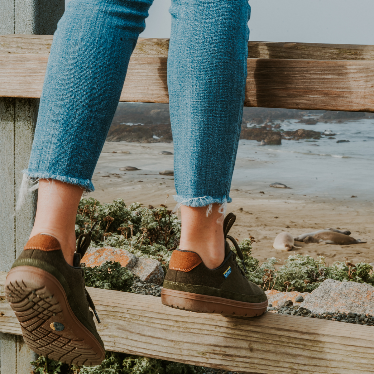 Lems Chillum Trail Shoe (Unisex) - Spruce Athletic - Running - Trail - The Heel Shoe Fitters