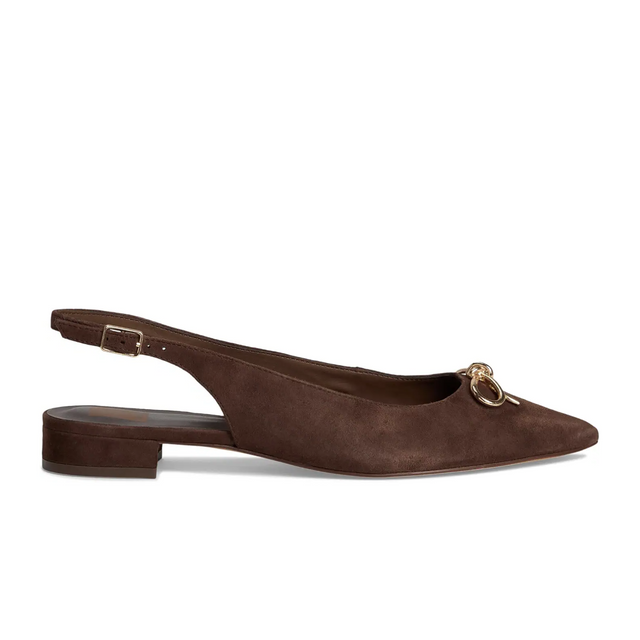 Dolce Vita Obella (Women) - Dark Brown Dress-Casual - Heels - The Heel Shoe Fitters