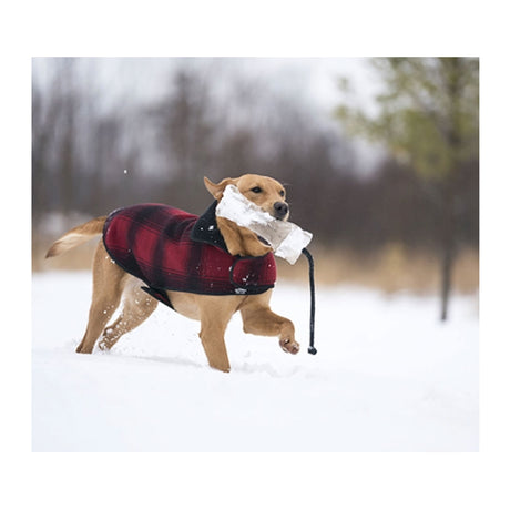 Stormy Kromer The SK Fleece Dog Jacket - Red/Black Accessories - Misc - The Heel Shoe Fitters