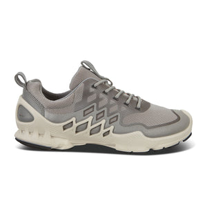 snak Bære Nonsens Ecco Biom AEX Trainer (Women) - Wild Dove/Buffed Silver - The Heel Shoe  Fitters